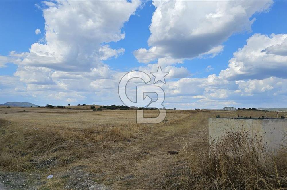 Edirne Keşan MecidiyeKöyü Yatırımlık SarosSahil 5km 4638 m²Tarla