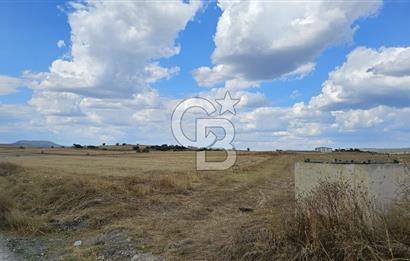 Edirne Keşan MecidiyeKöyü Yatırımlık SarosSahil 5km 4638 m²Tarla