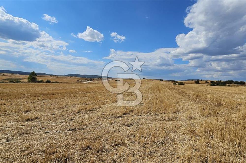 Edirne Keşan MecidiyeKöyü Yatırımlık SarosSahil 5km 4638 m²Tarla