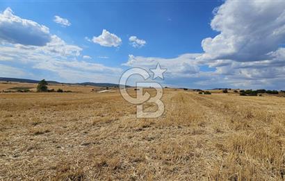 Edirne Keşan MecidiyeKöyü Yatırımlık SarosSahil 5km 4638 m²Tarla