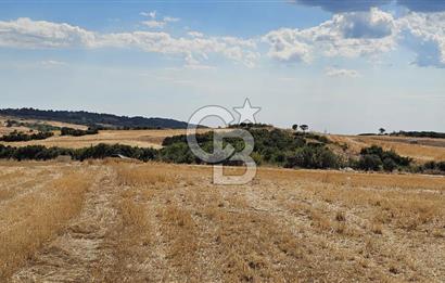 Edirne Keşan MecidiyeKöyü Yatırımlık SarosSahil 5km 4638 m²Tarla