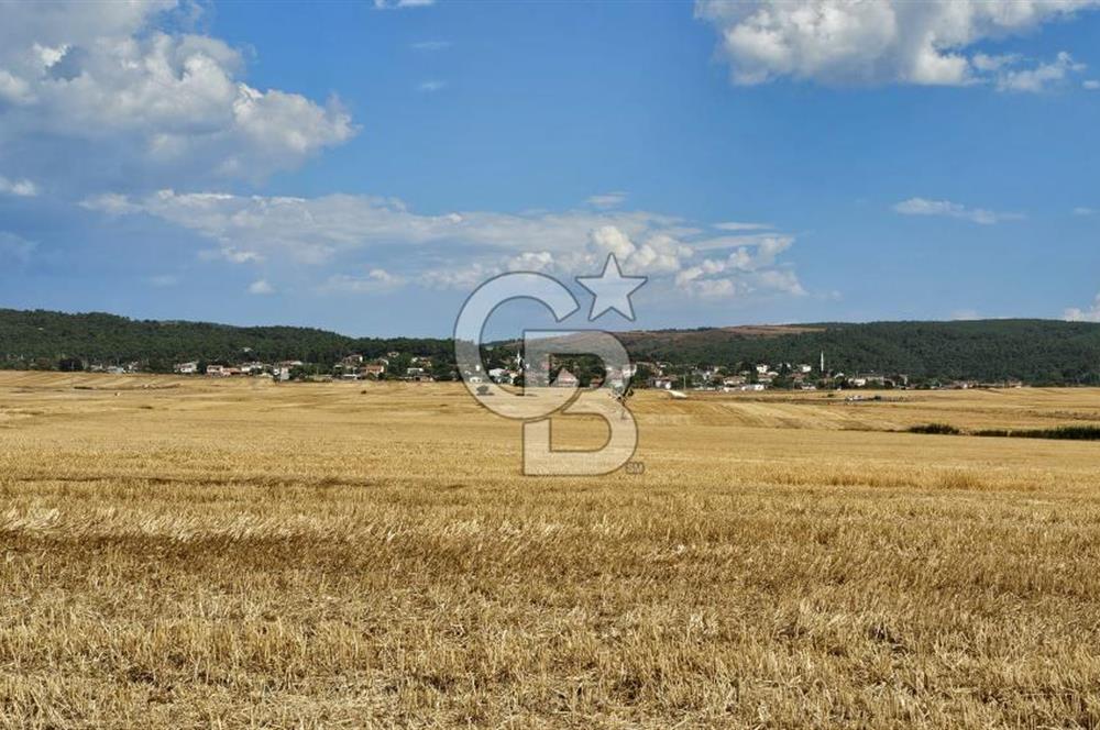 Edirne Keşan MecidiyeKöyü Yatırımlık SarosSahil 5km 4638 m²Tarla