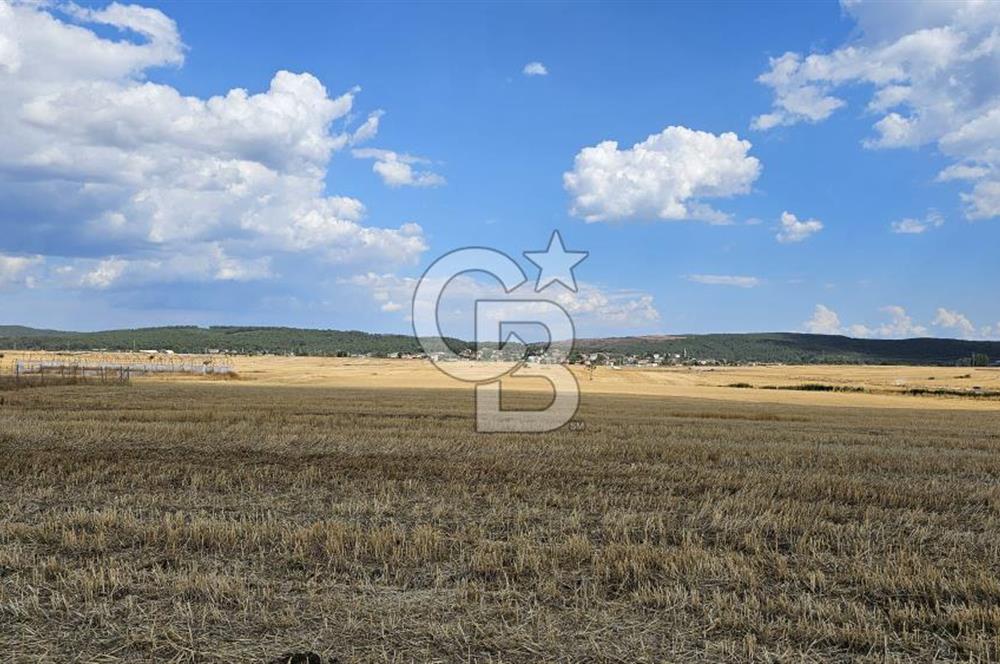Edirne Keşan MecidiyeKöyü Yatırımlık SarosSahil 5km 4638 m²Tarla