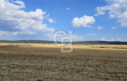 Edirne Keşan MecidiyeKöyü Yatırımlık SarosSahil 5km 4638 m²Tarla