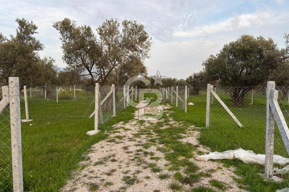 foça yolu üzeri fırsat 