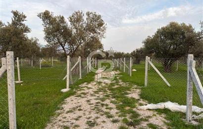 foça yolu üzeri fırsat 