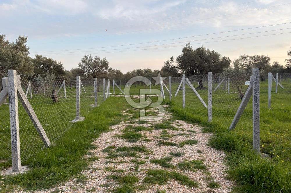 foça yolu üzeri fırsat 