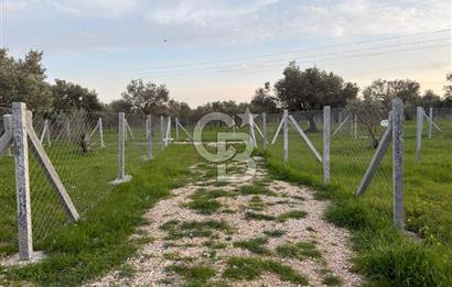 foça yolu üzeri fırsat 