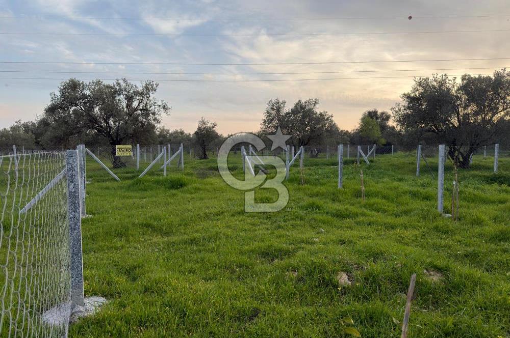 foça yolu üzeri fırsat 