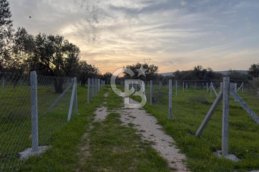 foça yolu üzeri fırsat 