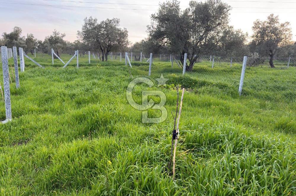 foça yolu üzeri fırsat 