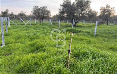 foça yolu üzeri fırsat 