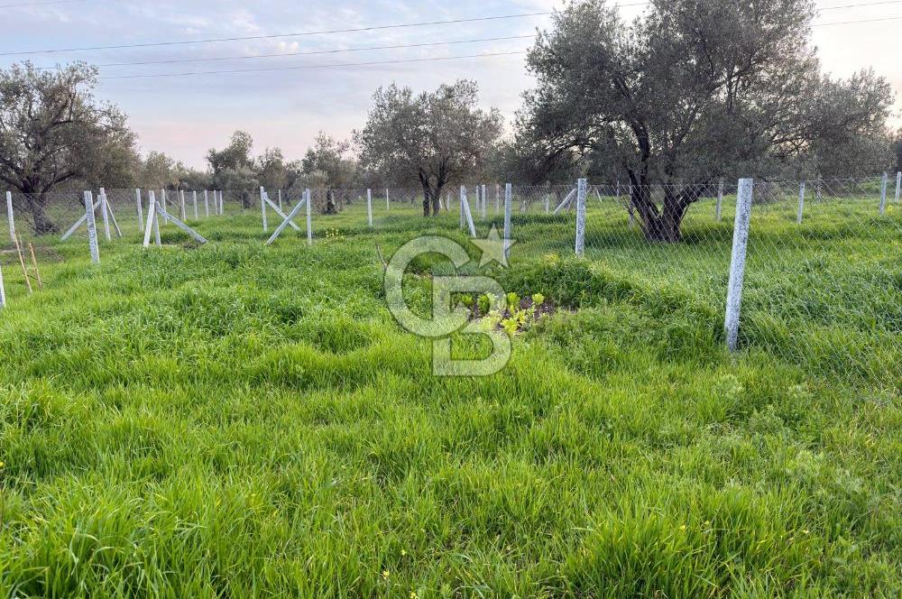 foça yolu üzeri fırsat 