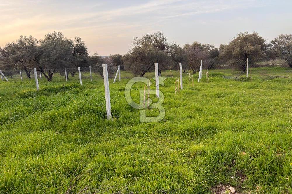 foça yolu üzeri fırsat 