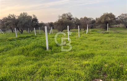 foça yolu üzeri fırsat 