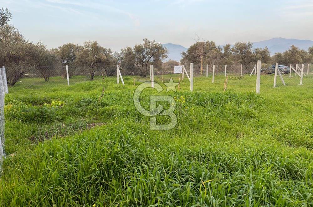 foça yolu üzeri fırsat 