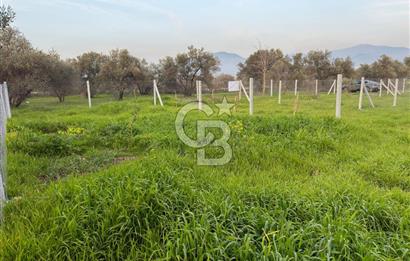 foça yolu üzeri fırsat 