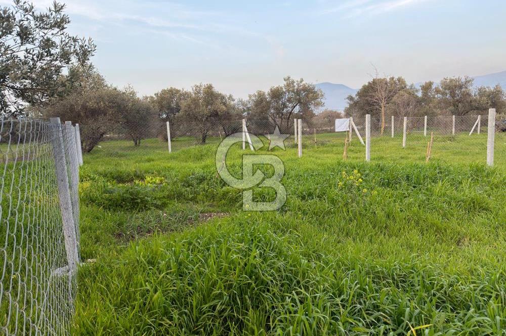 foça yolu üzeri fırsat 