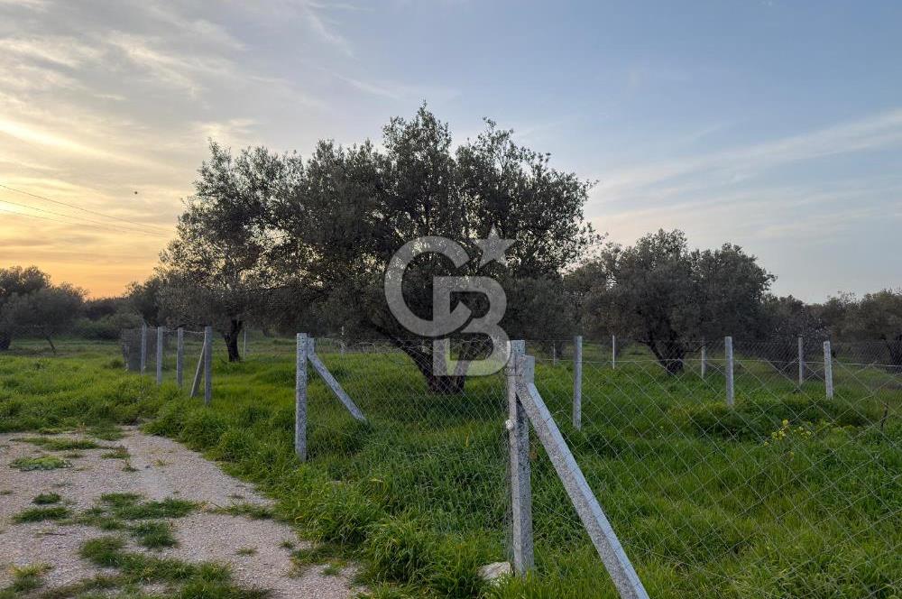 foça yolu üzeri fırsat 