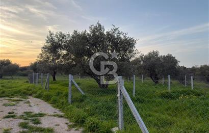 foça yolu üzeri fırsat 