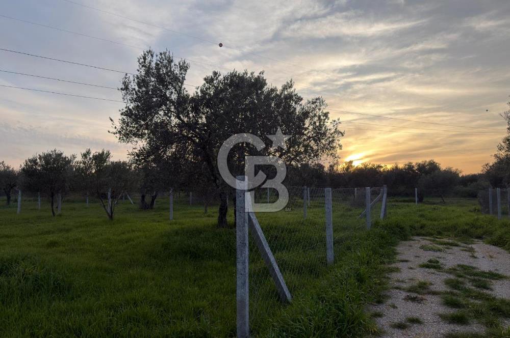 foça yolu üzeri fırsat 