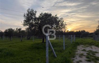 foça yolu üzeri fırsat 