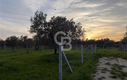 foça yolu üzeri fırsat 