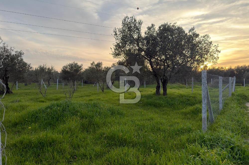 foça yolu üzeri fırsat 