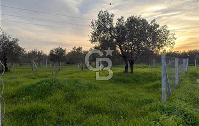 foça yolu üzeri fırsat 