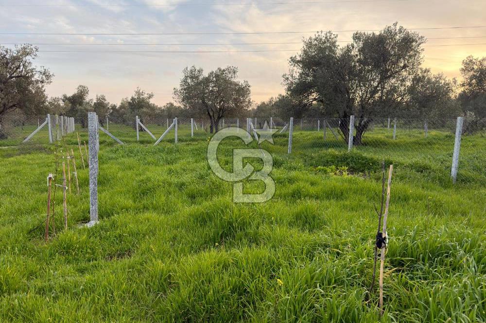 foça yolu üzeri fırsat 