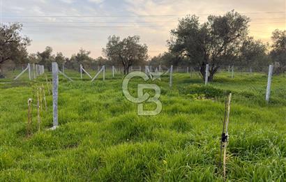foça yolu üzeri fırsat 
