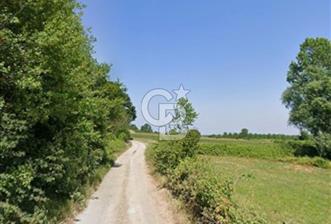 ADAPAZARI MAHMUDİYE'DE SATILIK TEK TAPULU 10.460 M2 ARAZİ - 1 - 339014