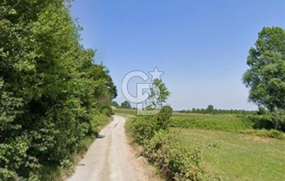 ADAPAZARI MAHMUDİYE'DE SATILIK TEK TAPULU 10.460 M2 ARAZİ