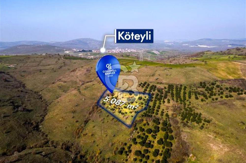 CB EAGLE'dan KÖTEYLİ'DE 5.087 m² SATILIK TARLA