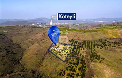 CB EAGLE'dan KÖTEYLİ'DE 5.087 m² SATILIK TARLA