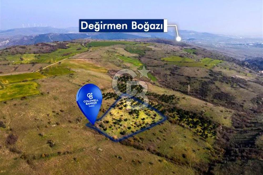 CB EAGLE'dan KÖTEYLİ'DE 5.087 m² SATILIK TARLA