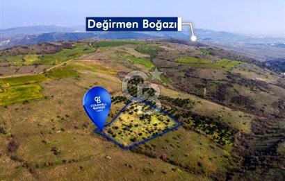 CB EAGLE'dan KÖTEYLİ'DE 5.087 m² SATILIK TARLA