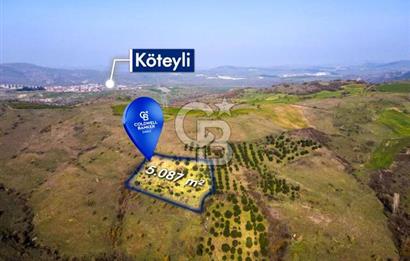 CB EAGLE'dan KÖTEYLİ'DE 5.087 m² SATILIK TARLA