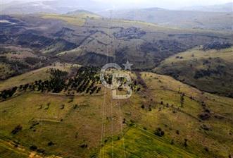 CB EAGLE'dan KÖTEYLİ'DE 5.087 m² SATILIK TARLA - 1 - 339019