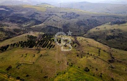 CB EAGLE'dan KÖTEYLİ'DE 5.087 m² SATILIK TARLA