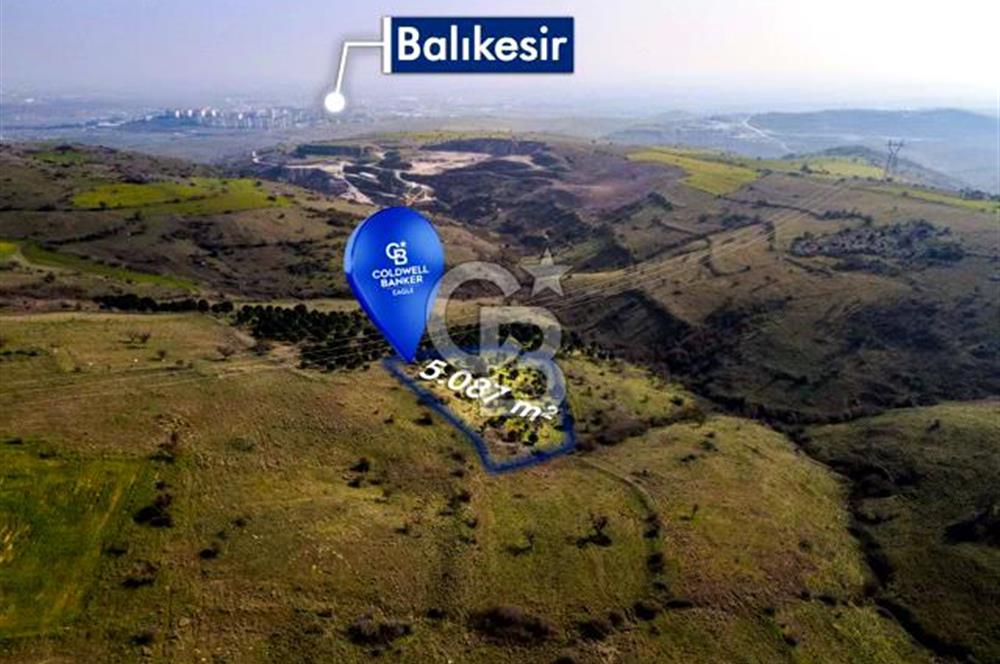 CB EAGLE'dan KÖTEYLİ'DE 5.087 m² SATILIK TARLA