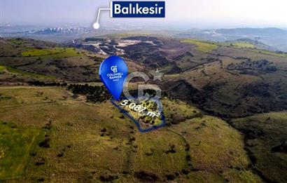 CB EAGLE'dan KÖTEYLİ'DE 5.087 m² SATILIK TARLA