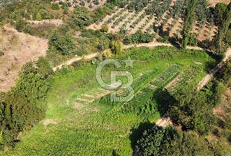 Gedelek Sanayi Sınırında Satılık Stratejik Parseller - 6.203 m - 1 - 339052