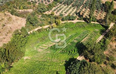 Gedelek Sanayi Sınırında Satılık Stratejik Parseller - 6.203 m