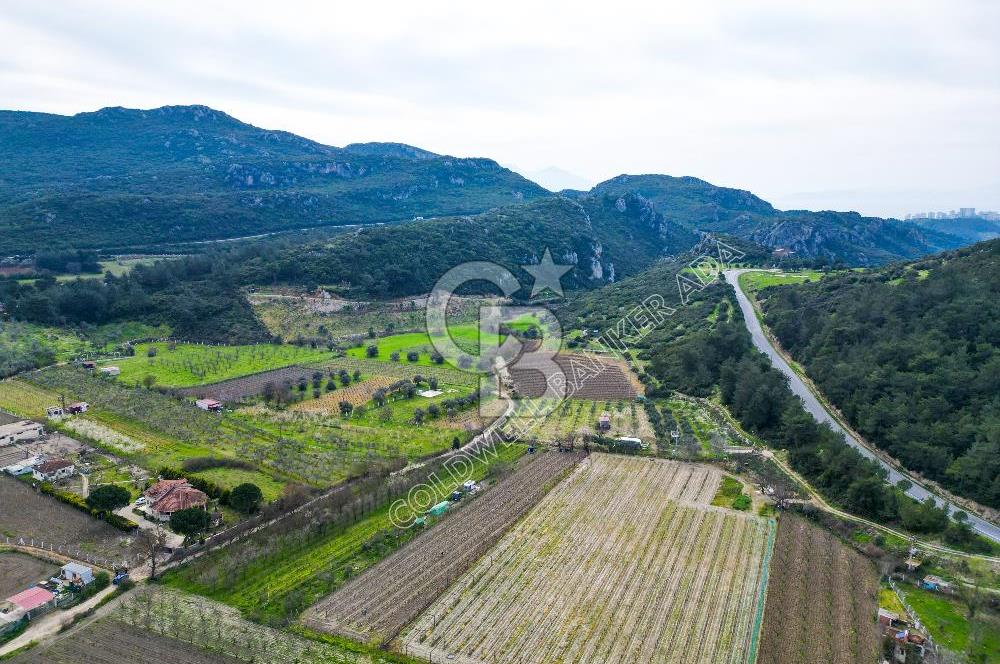 Kuşadası Kirazlı’da Satılık Tarla | 3887 m² | İçinde 45 m² Yapı Kayıtlı Ev | Su ve Elektrik Var