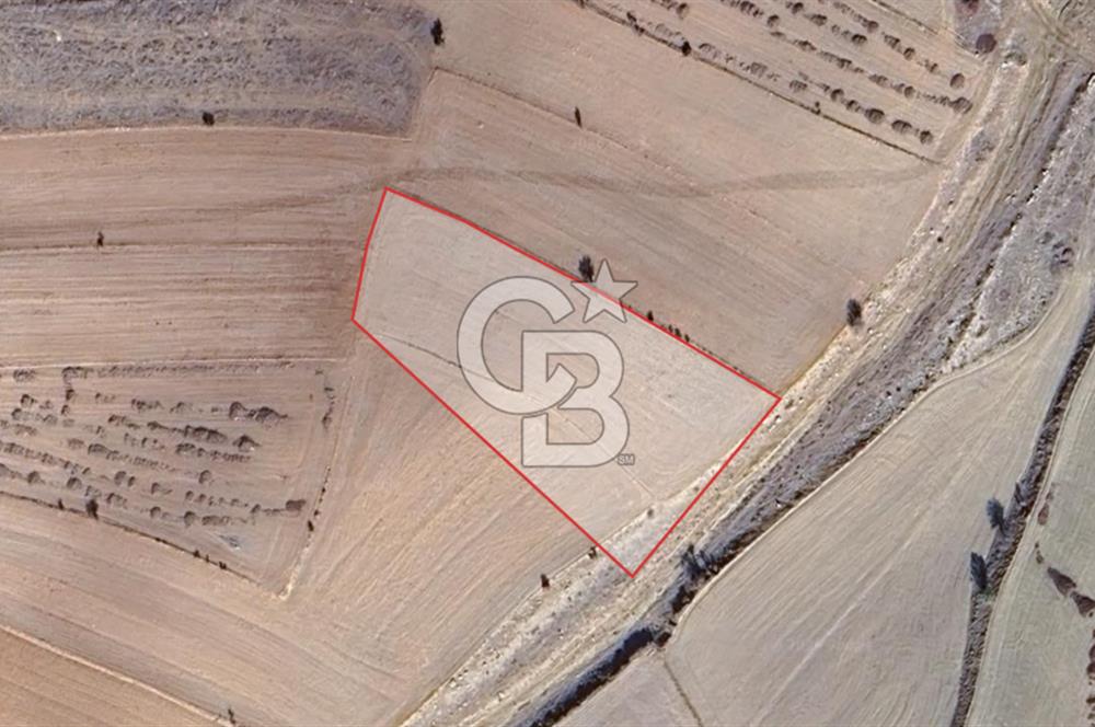 KORKUTELİ BOZOVA SATILIK TARLA