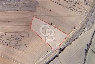 KORKUTELİ BOZOVA SATILIK TARLA - 6 - 339055