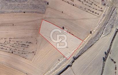 KORKUTELİ BOZOVA SATILIK TARLA