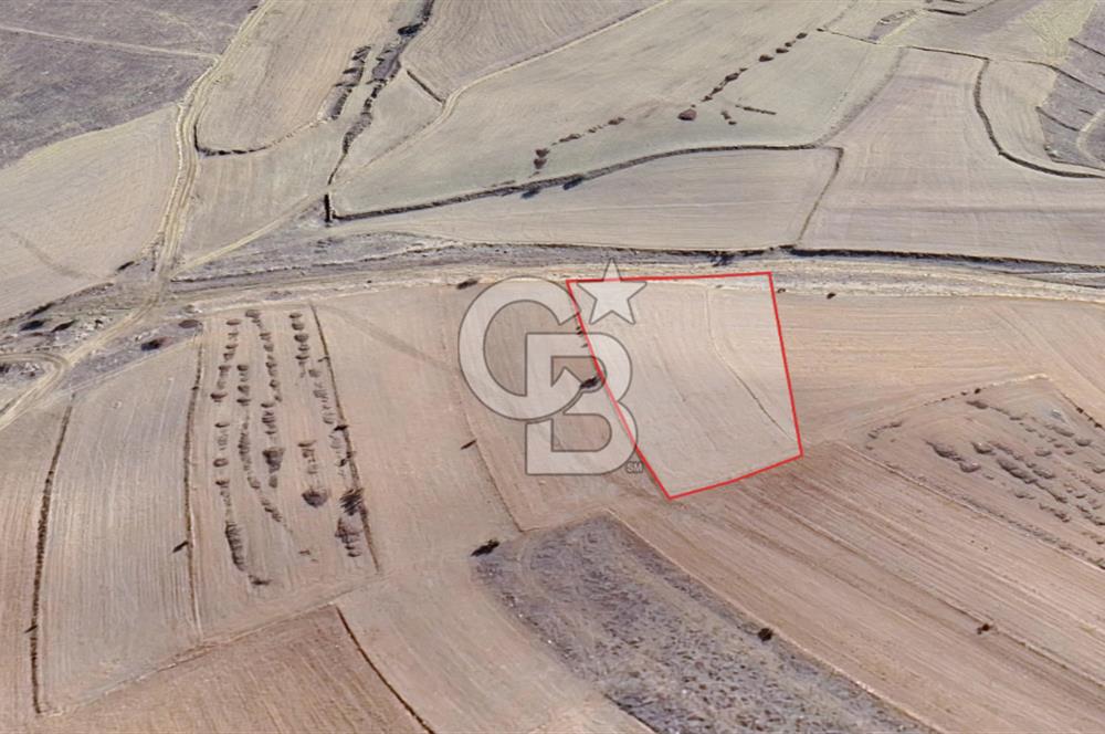 KORKUTELİ BOZOVA SATILIK TARLA