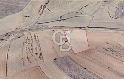 KORKUTELİ BOZOVA SATILIK TARLA